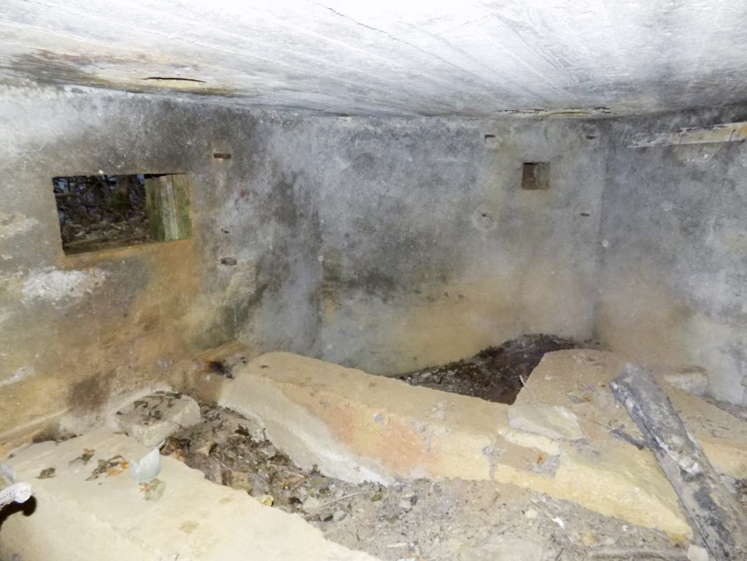 Ligne Maginot - 8BIS - LES LONGS BOYAUX EST - (Blockhaus pour canon) - Créneaux AC frontale et FM moitié droite - R Tucker