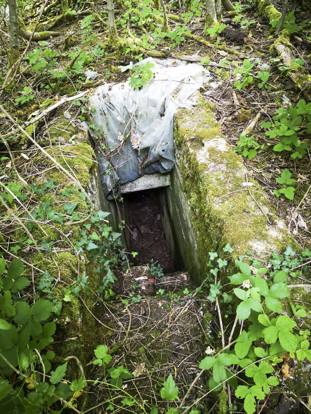 Ligne Maginot - LA FOURCHETTE - (Blockhaus pour arme infanterie) - Entrée n°1 - beb08