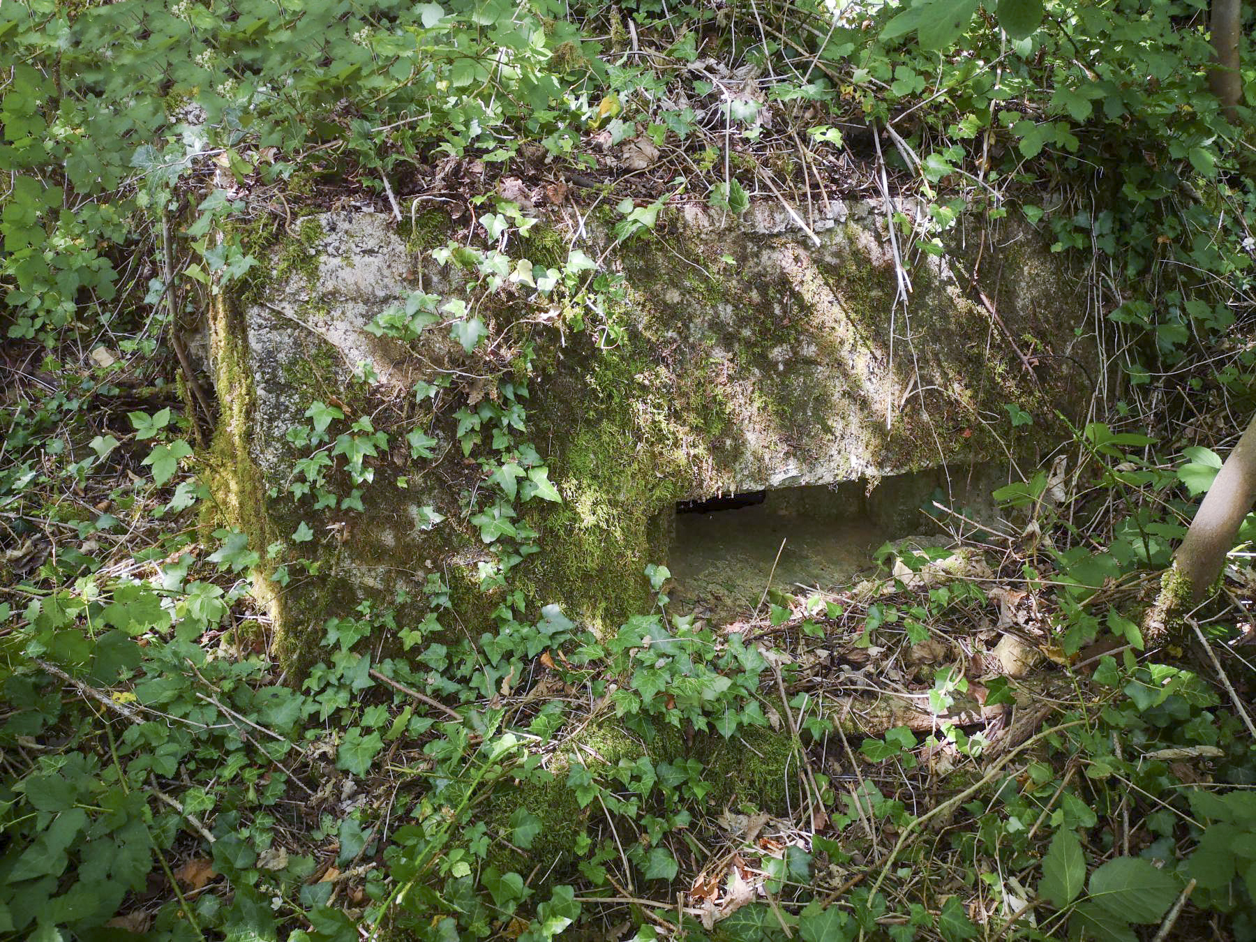 Ligne Maginot - LA FOURCHETTE - (Blockhaus pour arme infanterie) - Poste de mitrailleuse de droite - beb08