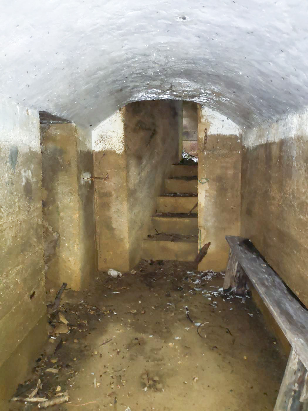 Ligne Maginot - LA FOURCHETTE - (Blockhaus pour arme infanterie) - Vue de l'accès   - beb08