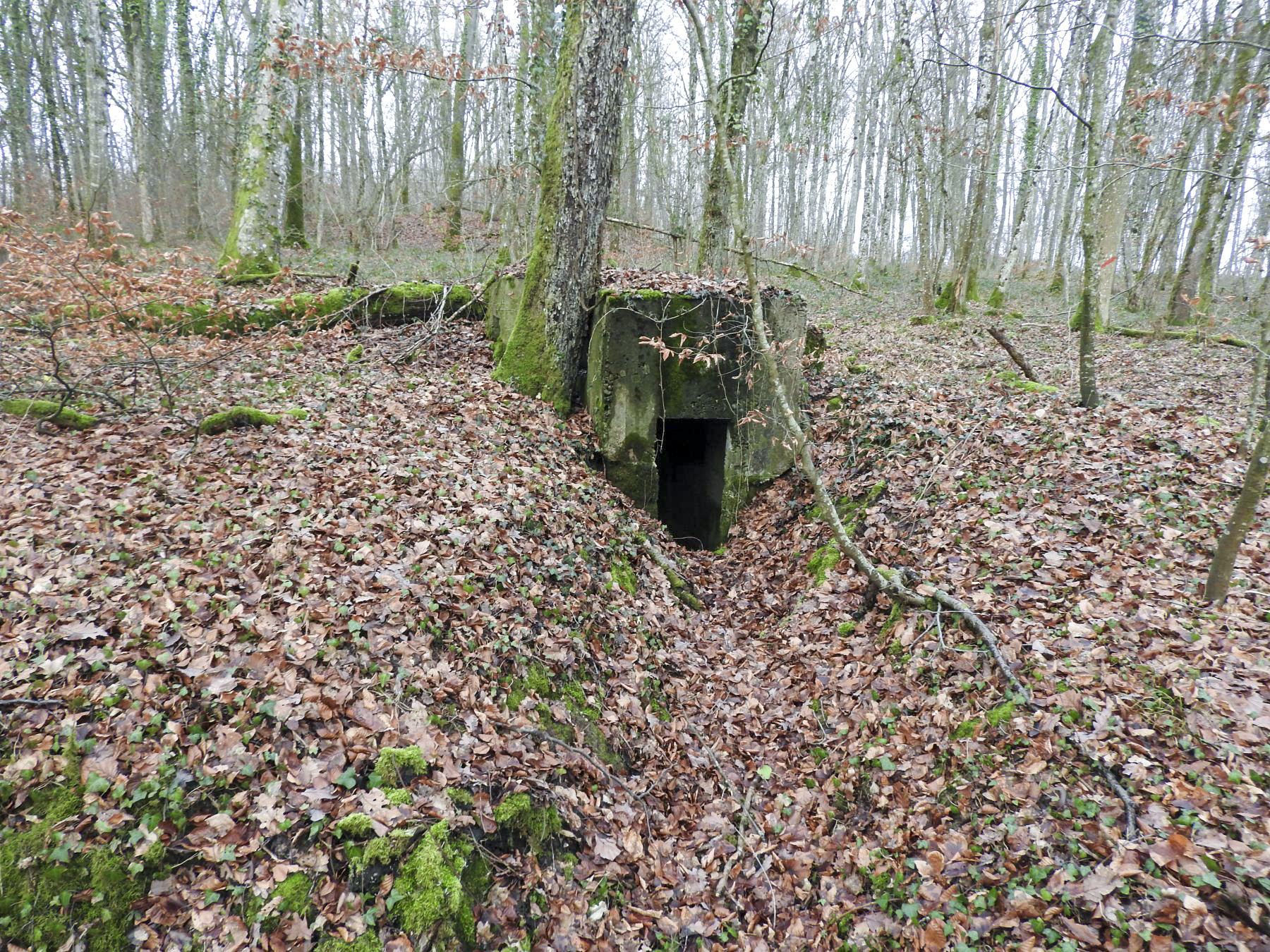 Ligne Maginot - BB42-D - (Blockhaus pour arme infanterie) - L'entrée du blockhaus. - STENGER Mathieu