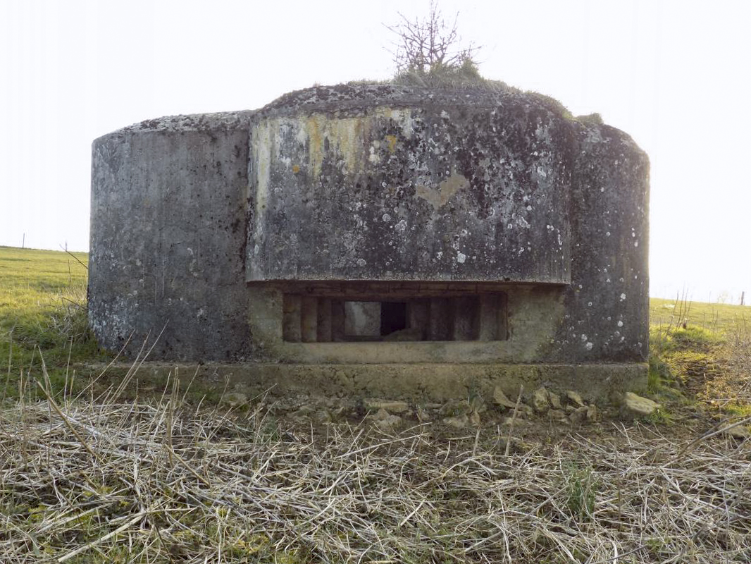 Ligne Maginot - 1B - VAUX LES MOUZON EST - (Blockhaus pour canon) - Face est - R Tucker