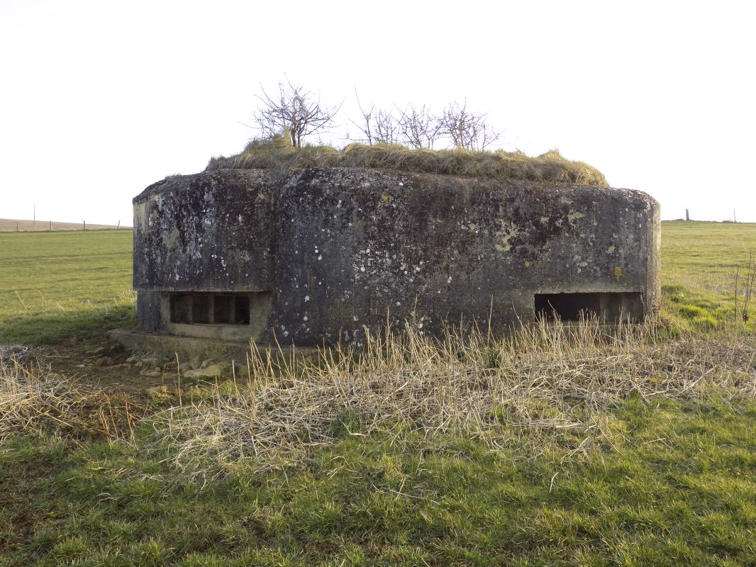 Ligne Maginot - 1B - VAUX LES MOUZON EST - (Blockhaus pour canon) - Faces est et nord - R Tucker