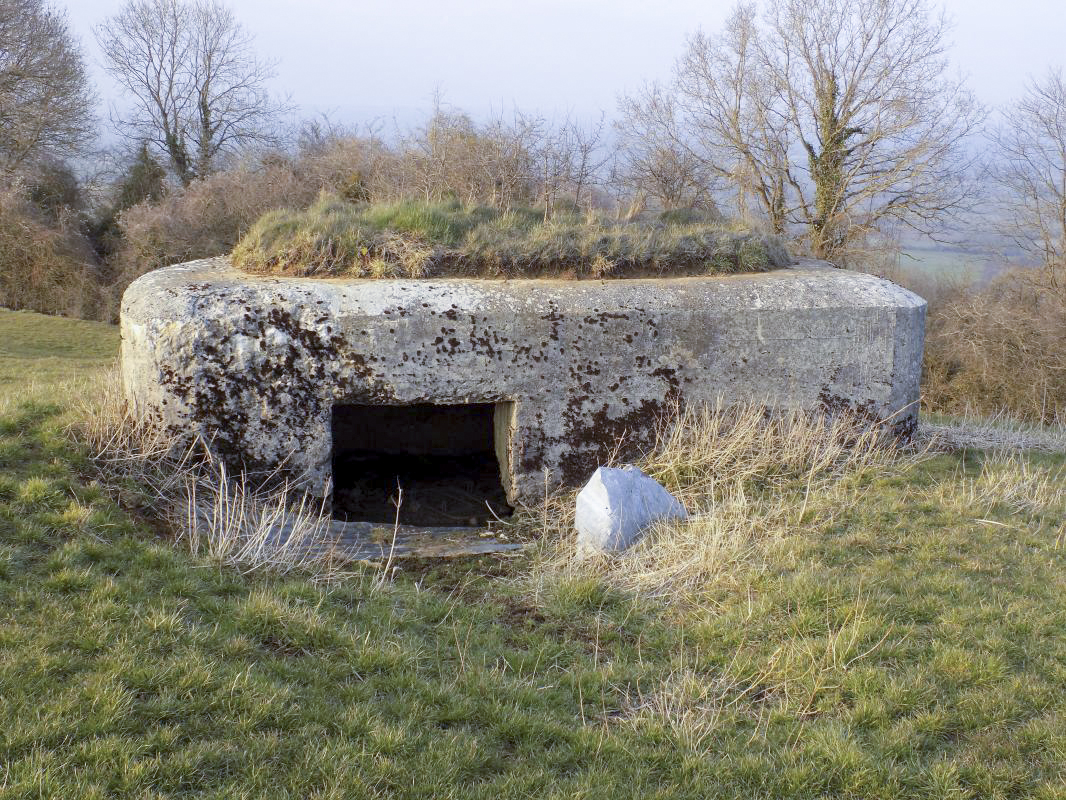 Ligne Maginot - 1B - VAUX LES MOUZON EST - (Blockhaus pour canon) - L'arrière - R Tucker