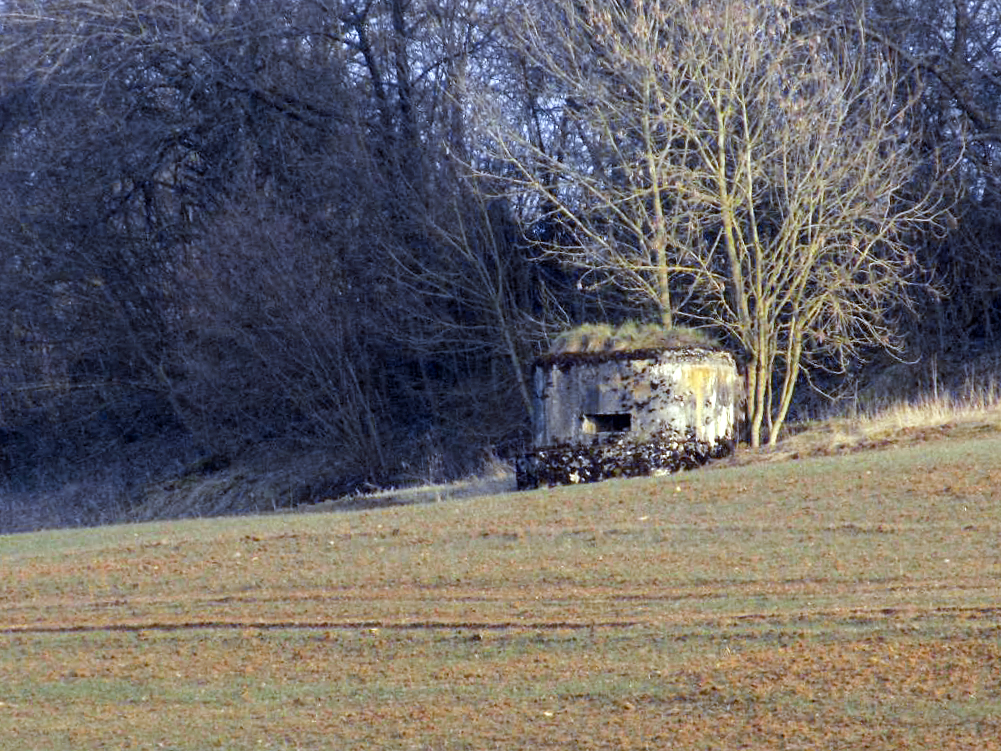 Ligne Maginot - 1B - VAUX LES MOUZON EST - (Blockhaus pour canon) - Vue vers le sud-est, B9-B - R Tucker
