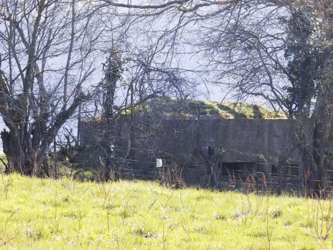 Ligne Maginot - 2B - VAUX LES MOUZON OUEST - (Blockhaus pour canon) - Pris du nord-ouest - R Tucker