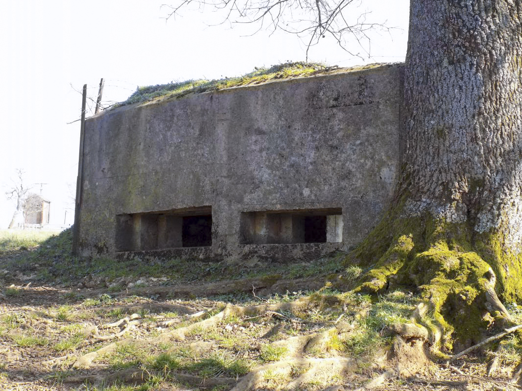 Ligne Maginot - 2B - VAUX LES MOUZON OUEST - (Blockhaus pour canon) - Face nord-ouest - R Tucker