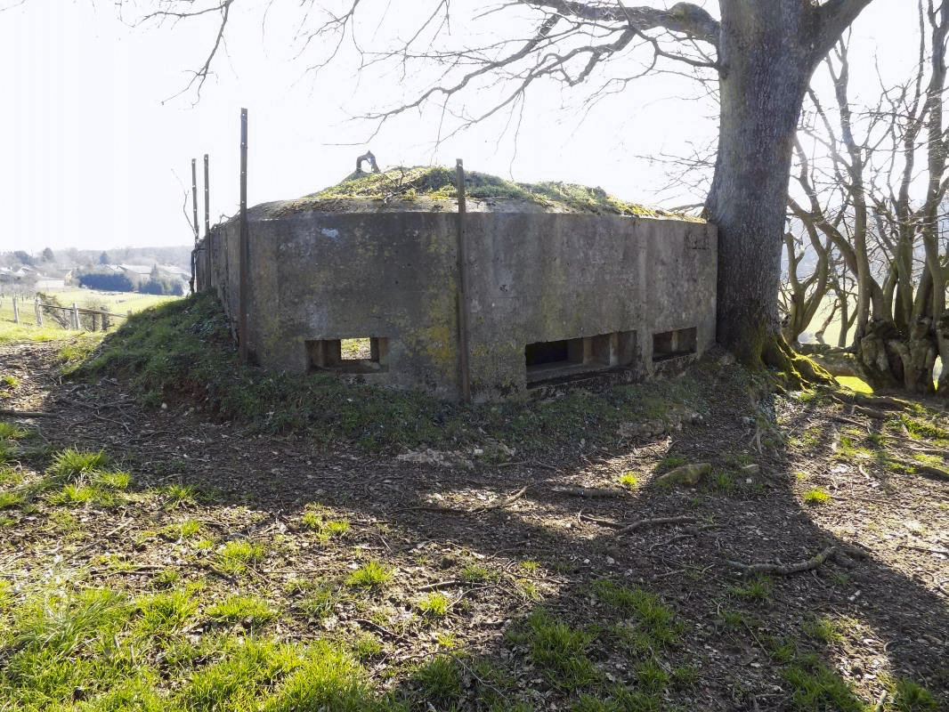 Ligne Maginot - 2B - VAUX LES MOUZON OUEST - (Blockhaus pour canon) - Faces nord et nord-ouest - R Tucker