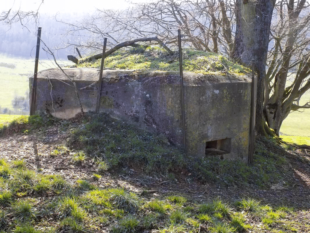 Ligne Maginot - 2B - VAUX LES MOUZON OUEST - (Blockhaus pour canon) - Face est - R Tucker