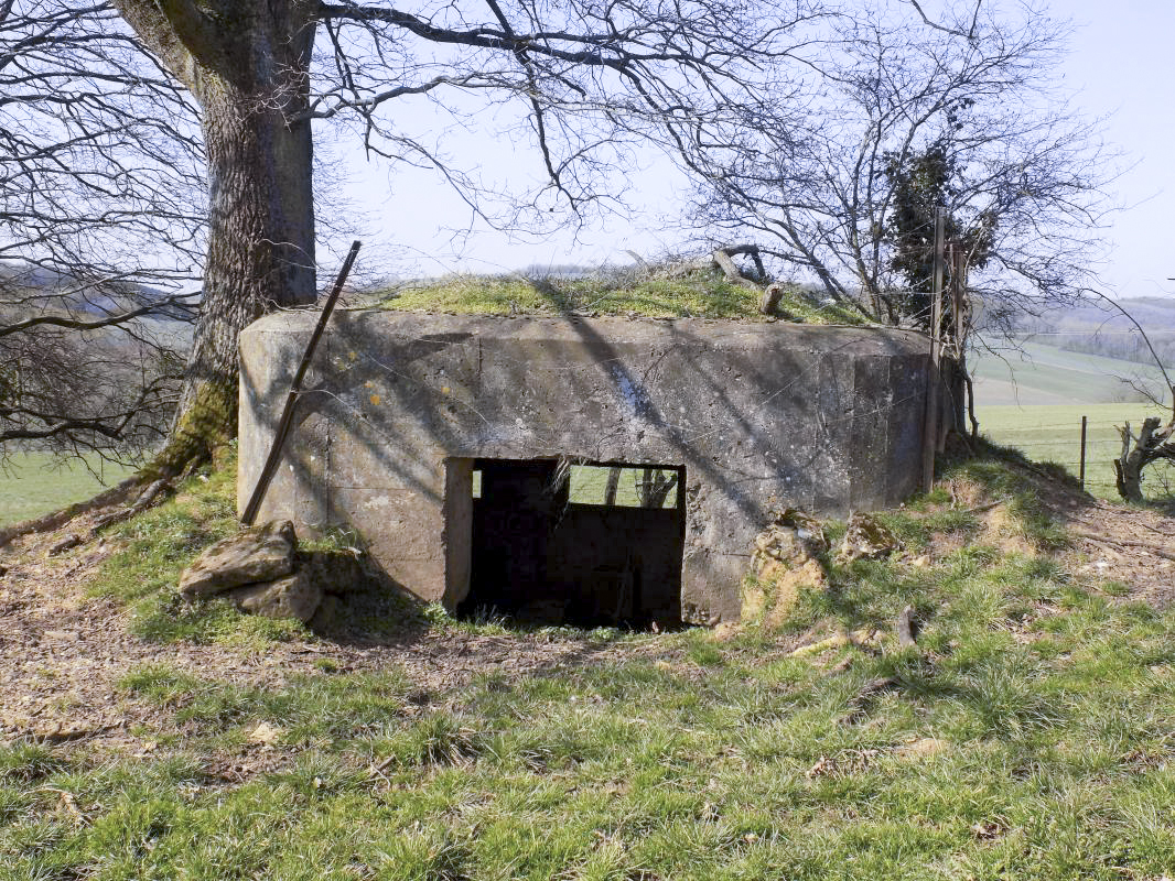 Ligne Maginot - 2B - VAUX LES MOUZON OUEST - (Blockhaus pour canon) - L'entrée AC, face sud - R Tucker