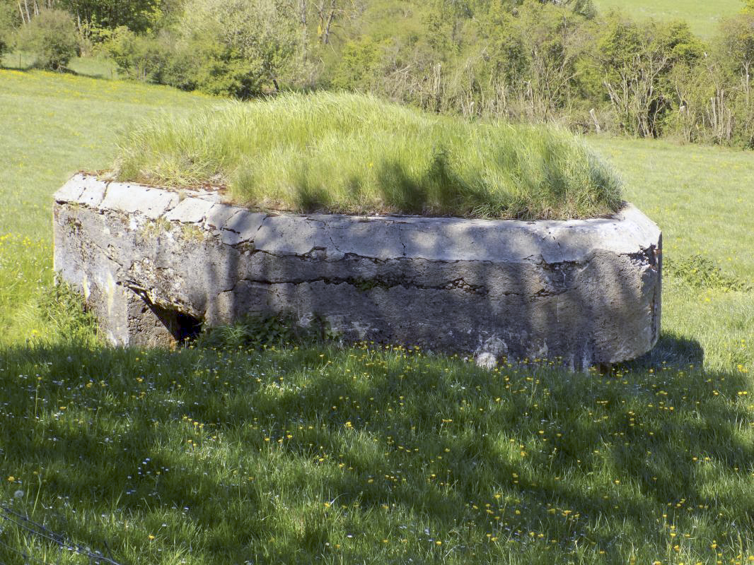 Ligne Maginot - 2C - LA CABRETTE - (Blockhaus pour canon) - L'arrière et droite - R Tucker