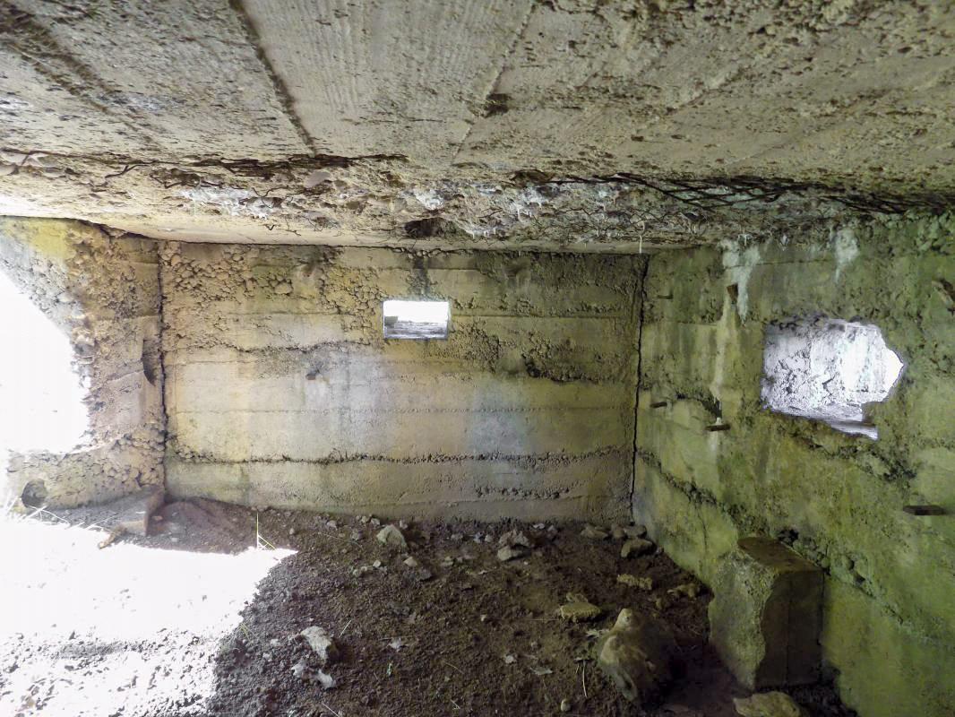 Ligne Maginot - 2C - LA CABRETTE - (Blockhaus pour canon) - Créneaux FM/Obs et AC centrale - R Tucker