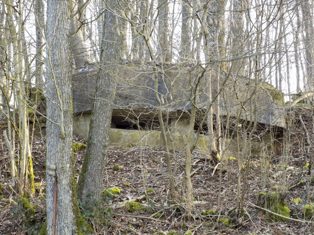Ligne Maginot - 3B - FERME LA FOLIE OUEST - (Blockhaus pour arme infanterie) - Face frontale - R Tucker