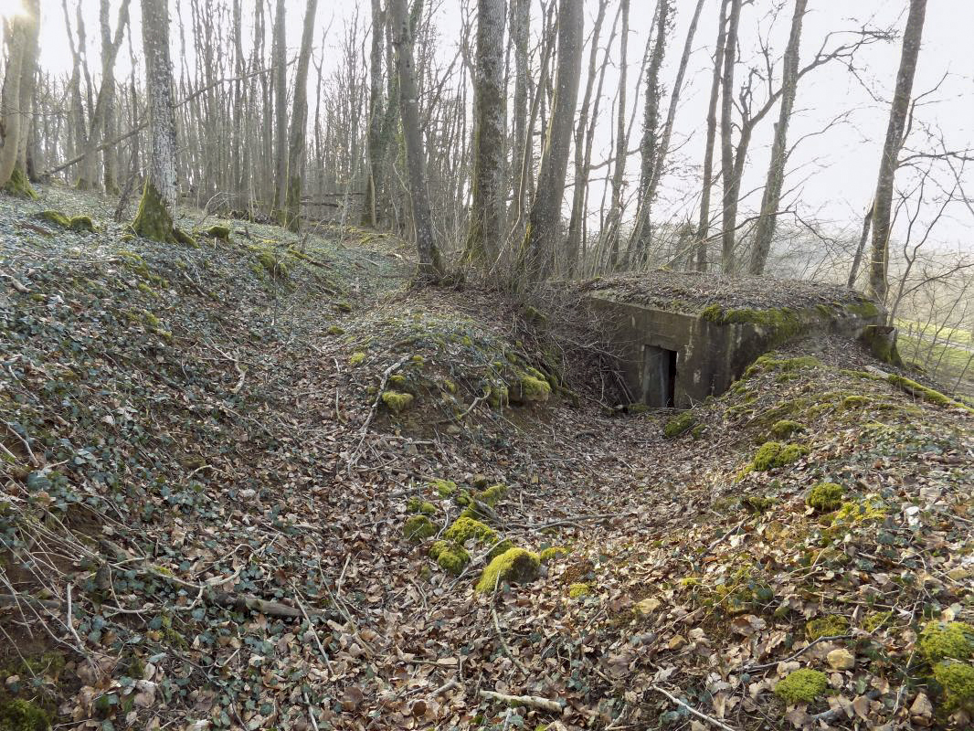 Ligne Maginot - 3B - FERME LA FOLIE OUEST - (Blockhaus pour arme infanterie) - L’arrière avec vestiges des tranchées - R Tucker