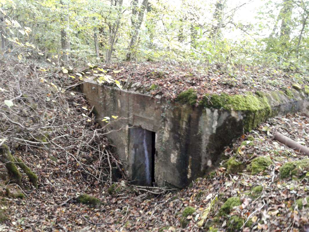 Ligne Maginot - 3B - FERME LA FOLIE OUEST - (Blockhaus pour arme infanterie) - Face arrière. 
Entrée - Fabrice THOMASSIN