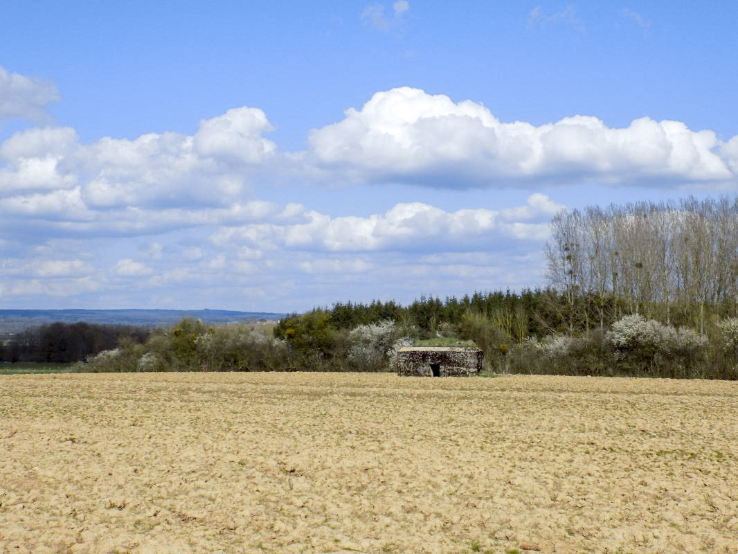 Ligne Maginot - 3C - FONTAINE ST PIERRE - (Blockhaus pour arme infanterie) - Pris du sud-est - R Tucker