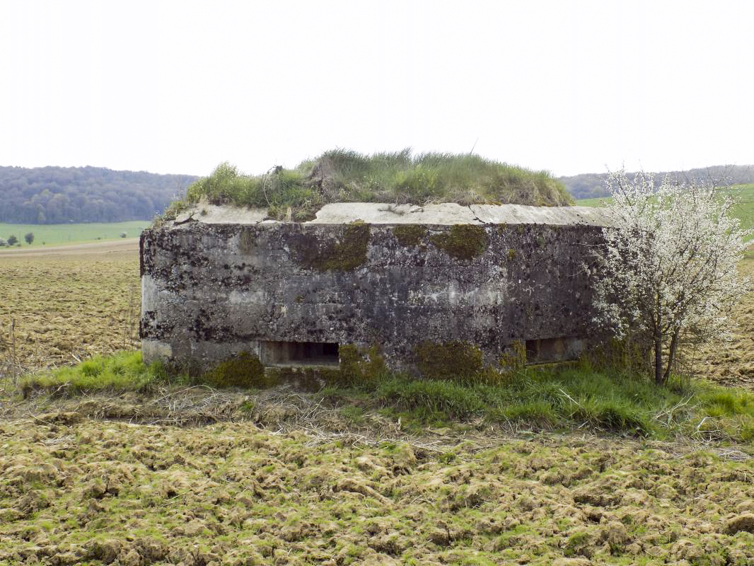 Ligne Maginot - 3C - FONTAINE ST PIERRE - (Blockhaus pour arme infanterie) - Faces frontale et gauche - R Tucker
