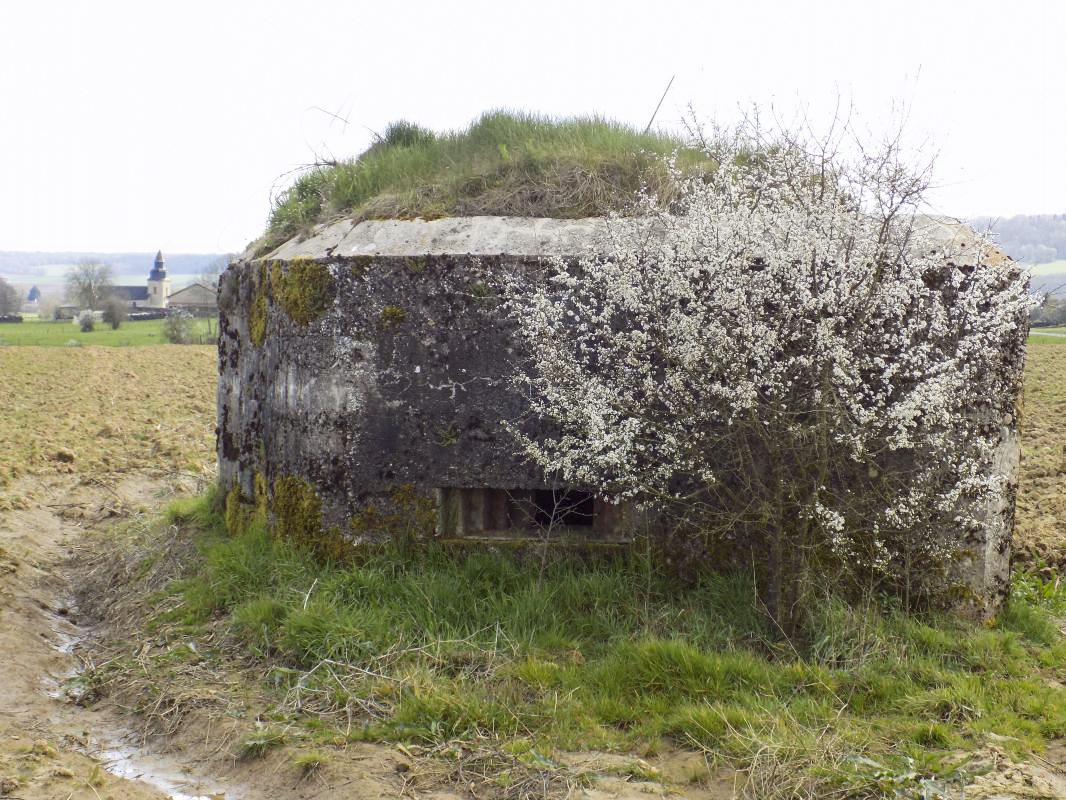 Ligne Maginot - 3C - FONTAINE ST PIERRE - (Blockhaus pour arme infanterie) - Face gauche - R Tucker