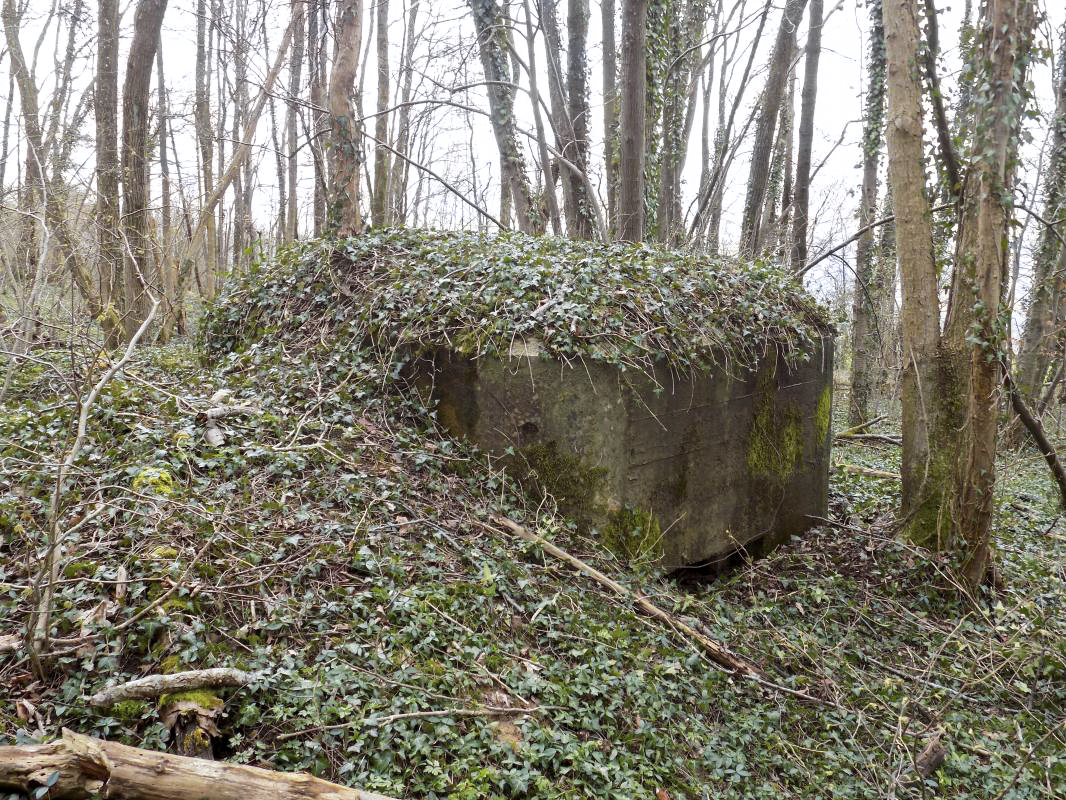 Ligne Maginot - 4B - LES ENTRECOURS NORD - (Blockhaus pour canon) - Faces gauche et frontale - R Tucker