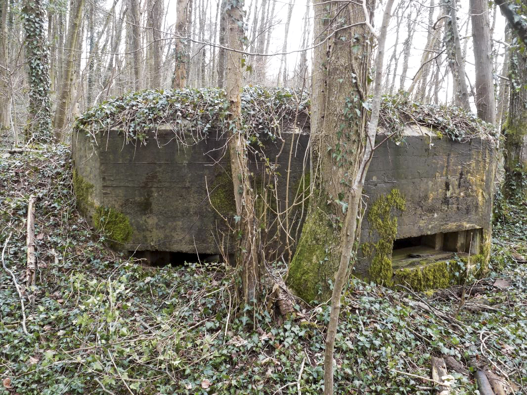 Ligne Maginot - 4B - LES ENTRECOURS NORD - (Blockhaus pour canon) - Face frontale - R Tucker