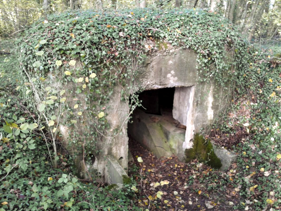 Ligne Maginot - 4B - LES ENTRECOURS NORD - (Blockhaus pour canon) - Vue de l'entrée et de la rampe adaptée à l'installation d'un canon antichar de 25mm. - Fabrice THOMASSIN