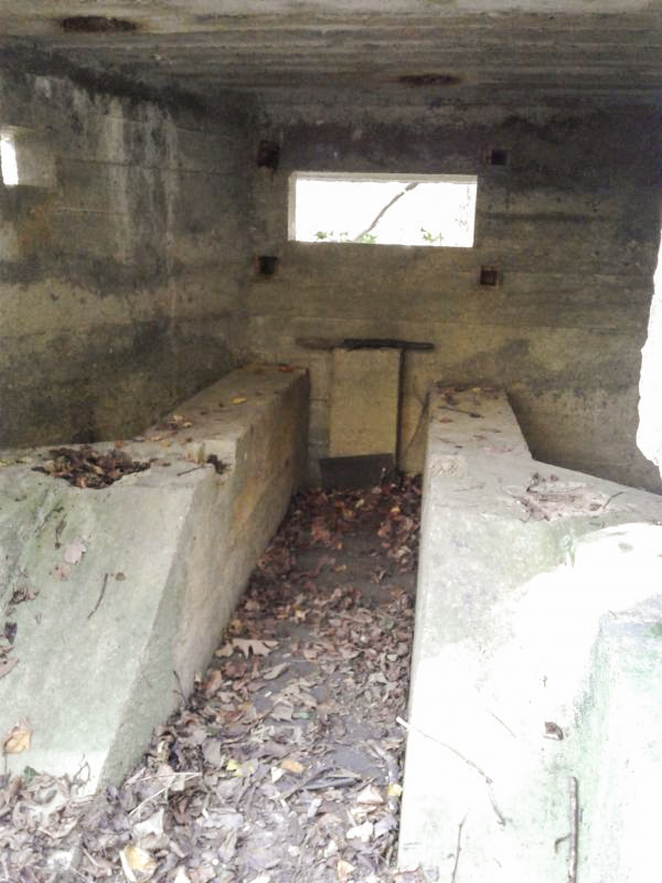 Ligne Maginot - 4B - LES ENTRECOURS NORD - (Blockhaus pour canon) - Vue de la rampe adaptée à l'installation d'un canon antichar de 25mm. - Fabrice THOMASSIN