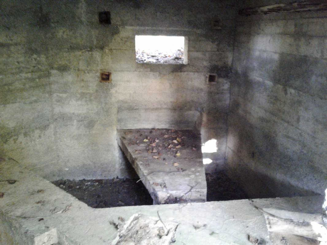 Ligne Maginot - 4B - LES ENTRECOURS NORD - (Blockhaus pour canon) - Vue du créneau et du support pour mitrailleuse Hotchkiss. - Fabrice THOMASSIN