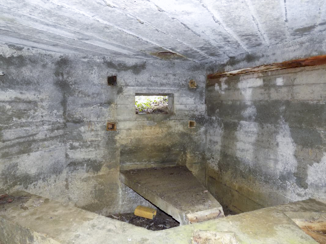 Ligne Maginot - 4B - LES ENTRECOURS NORD - (Blockhaus pour canon) - Créneau Hotchkiss - R Tucker