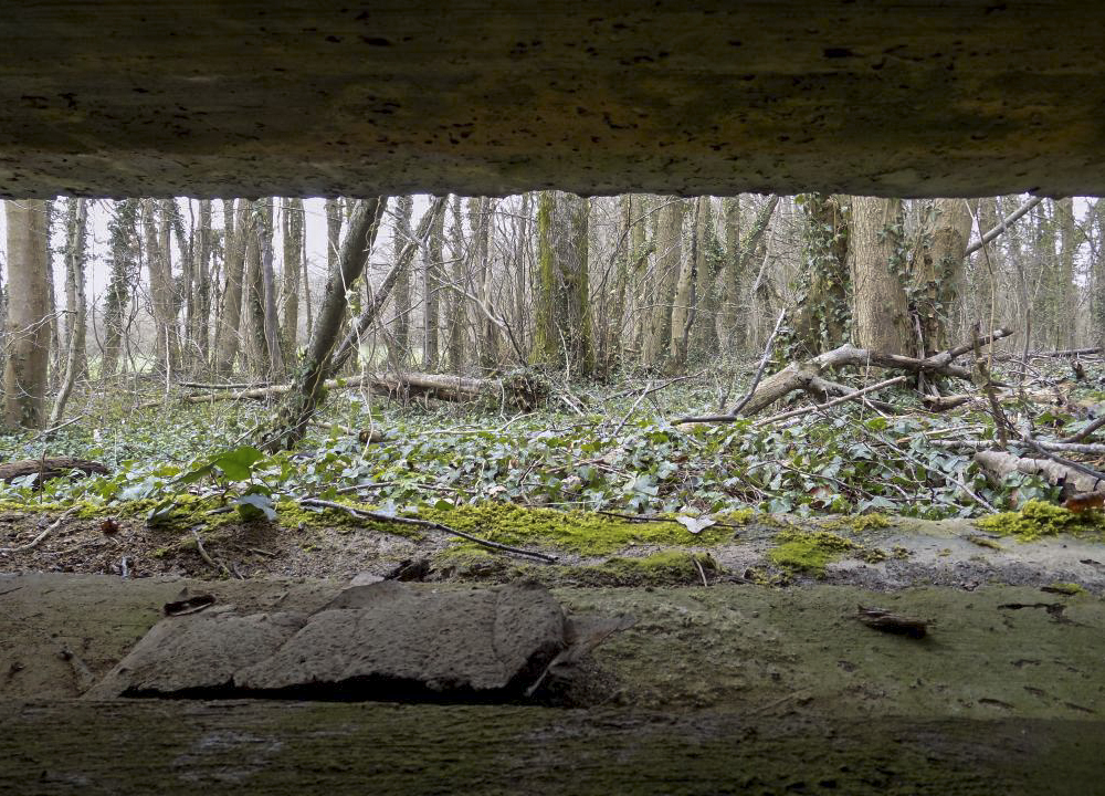 Ligne Maginot - 4B - LES ENTRECOURS NORD - (Blockhaus pour canon) - Vue du créneau AC - R Tucker