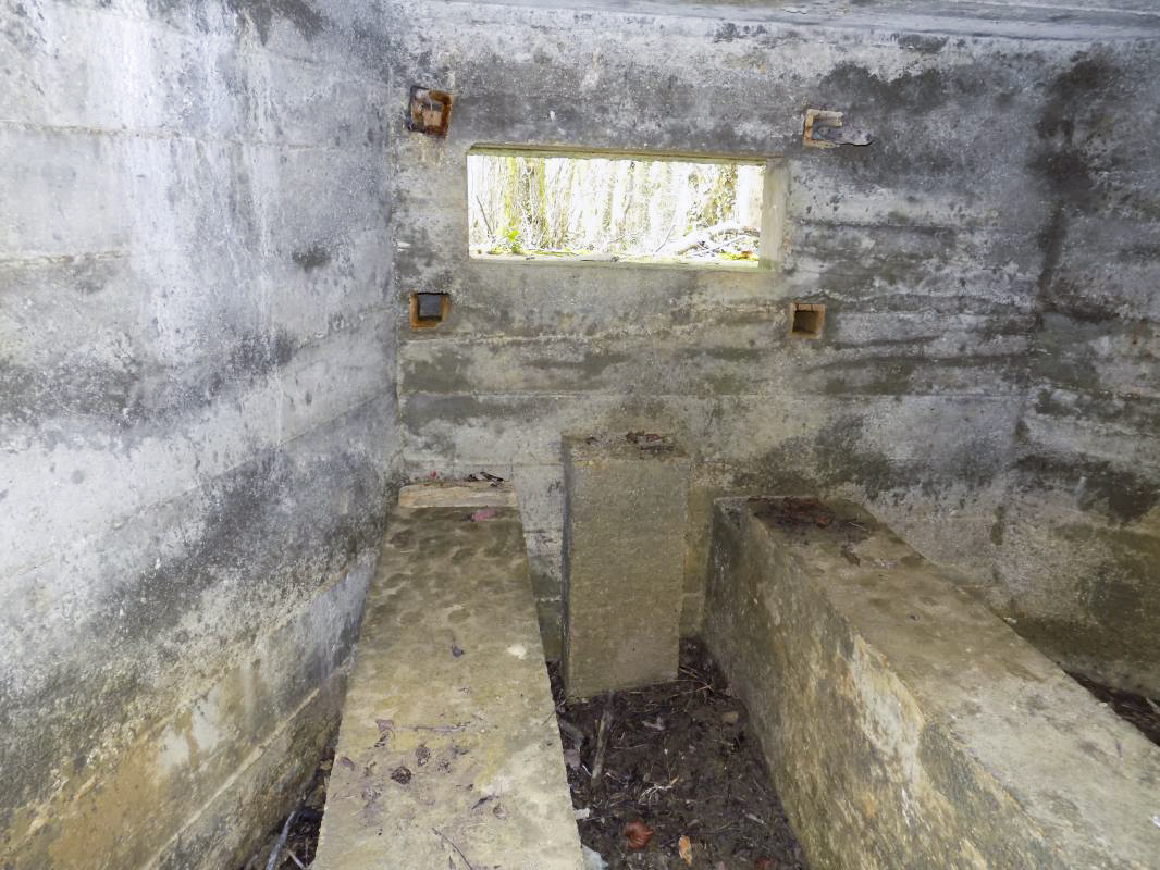 Ligne Maginot - 4B - LES ENTRECOURS NORD - (Blockhaus pour canon) - Créneau AC (face centrale) - R Tucker