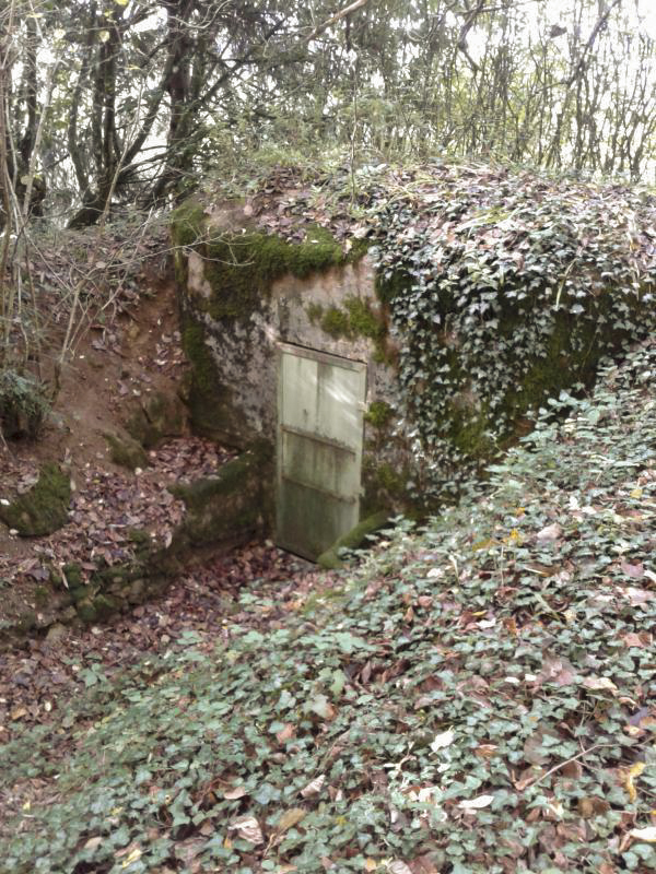 Ligne Maginot - 5B - LES ENTRECOURS - (Blockhaus pour arme infanterie) - Tranchée d'accès et entrée du bloc. - Fabrice THOMASSIN