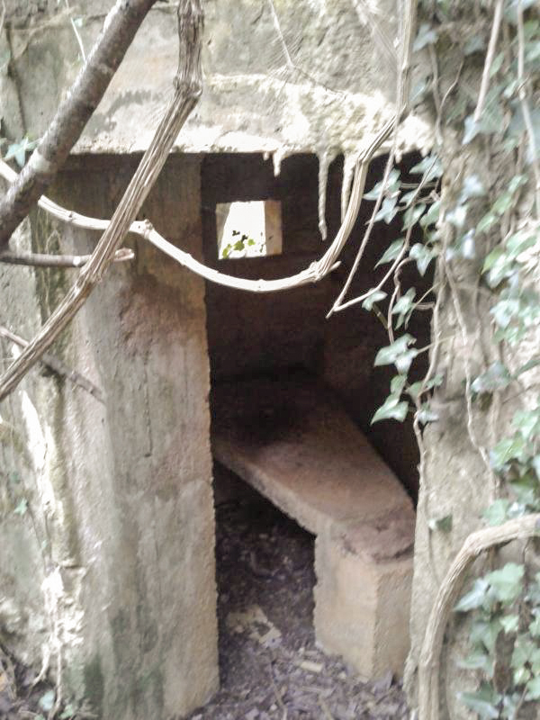 Ligne Maginot - 6B - LES NASSES EST - (Blockhaus pour arme infanterie) - Entrée du bloc et créneau pour mitrailleuse Hotchkiss de gauche. - Fabrice THOMASSIN