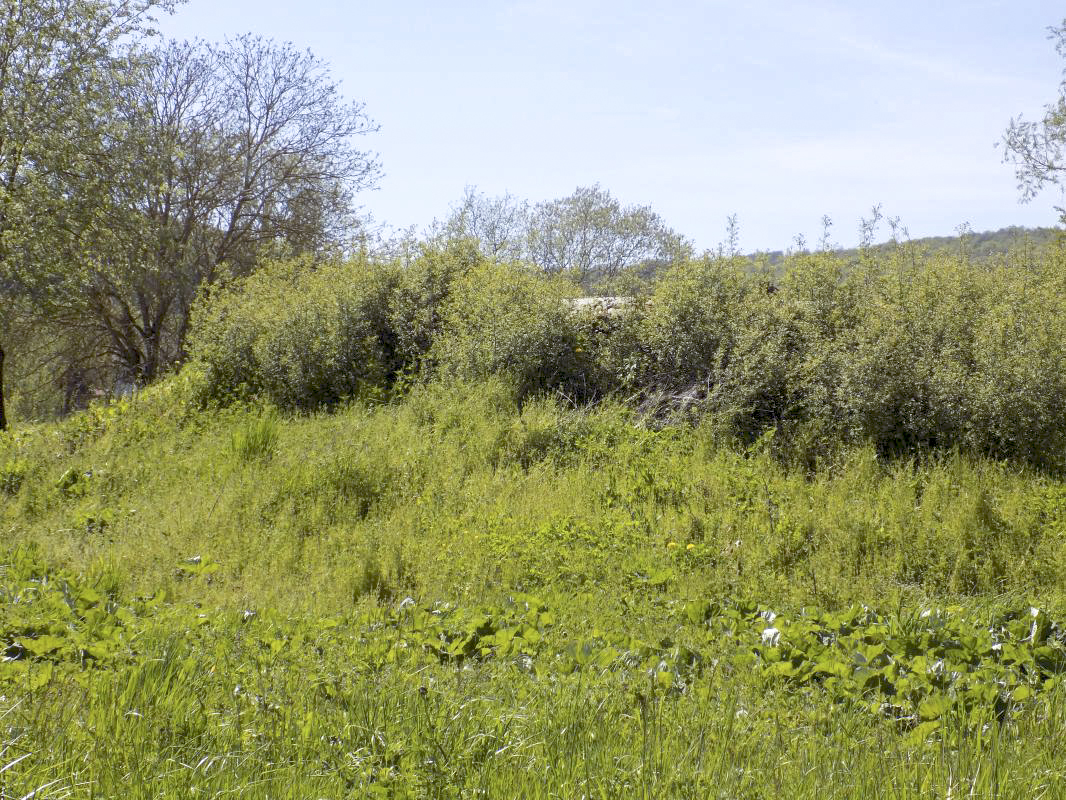 Ligne Maginot - 6C - VILLERS DEVANT MOUZON SUD - (Blockhaus pour arme infanterie) - Pris de l'est, au bord de la Meuse - R Tucker
