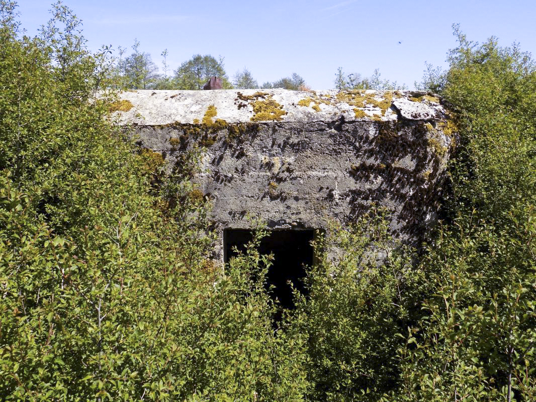 Ligne Maginot - 6C - VILLERS DEVANT MOUZON SUD - (Blockhaus pour arme infanterie) - L'arrière - R Tucker