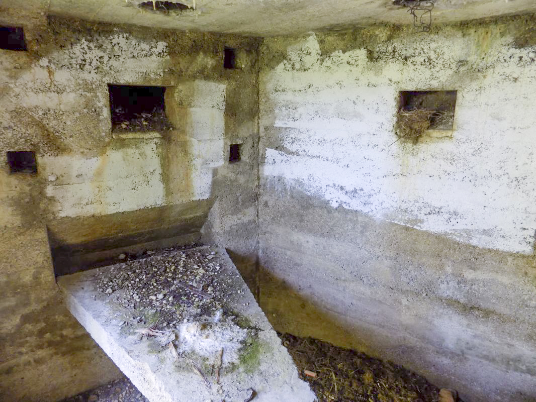 Ligne Maginot - 6C - VILLERS DEVANT MOUZON SUD - (Blockhaus pour arme infanterie) - Créneaux Hotchkiss, gauche et FM/Obs, centrale - R Tucker
