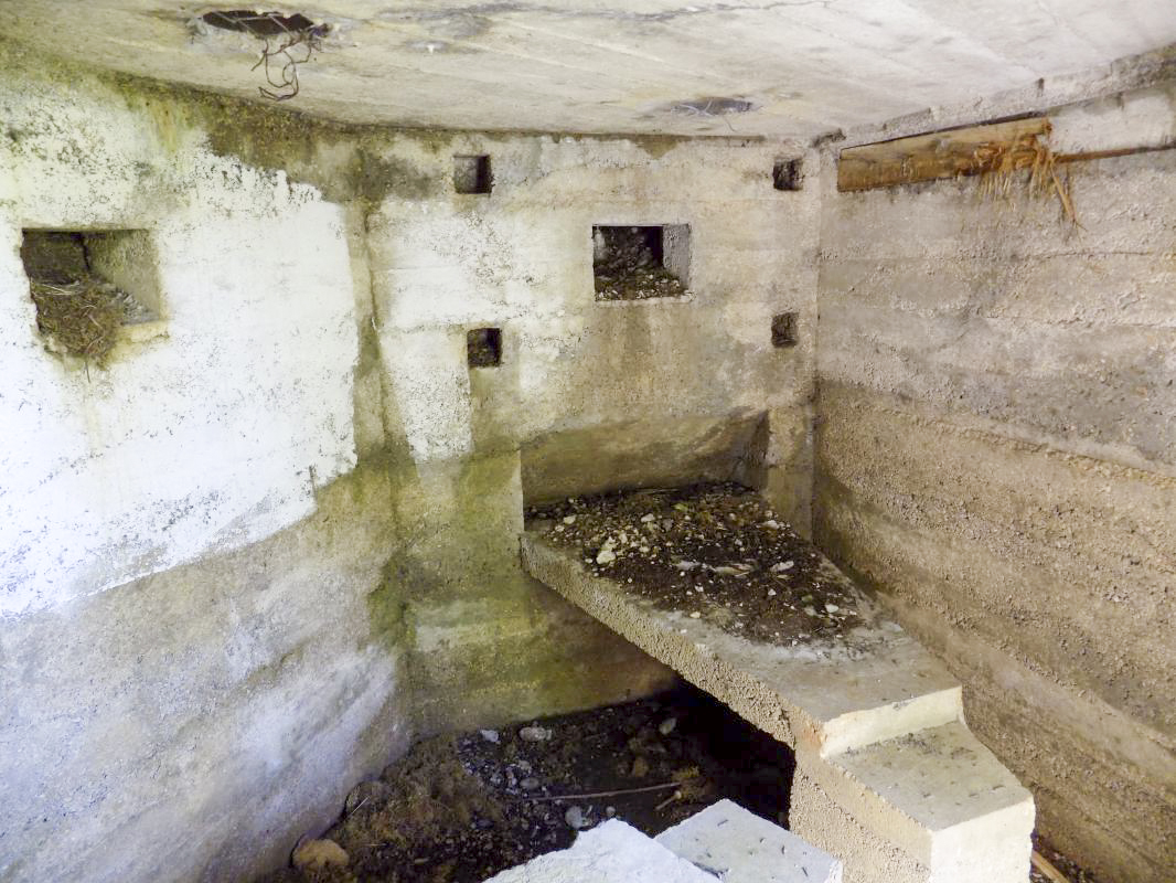 Ligne Maginot - 6C - VILLERS DEVANT MOUZON SUD - (Blockhaus pour arme infanterie) - Créneaux FM/Obs, centrale et Hotchkiss, droite - R Tucker
