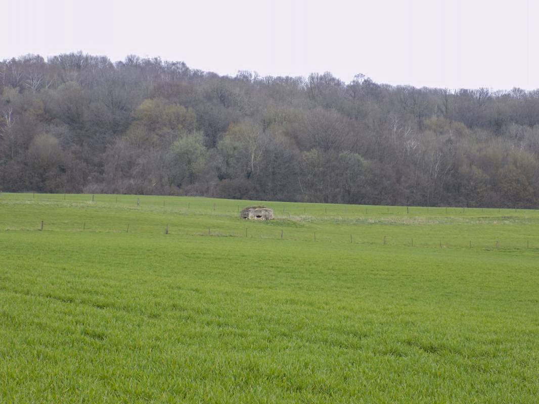 Ligne Maginot - 7B - LES NASSES OUEST - (Blockhaus pour arme infanterie) - Pris de l'ouest - R Tucker