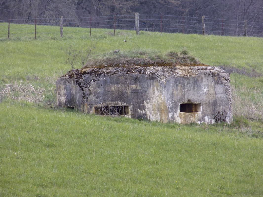 Ligne Maginot - 7B - LES NASSES OUEST - (Blockhaus pour arme infanterie) - Pris de l'ouest - R Tucker