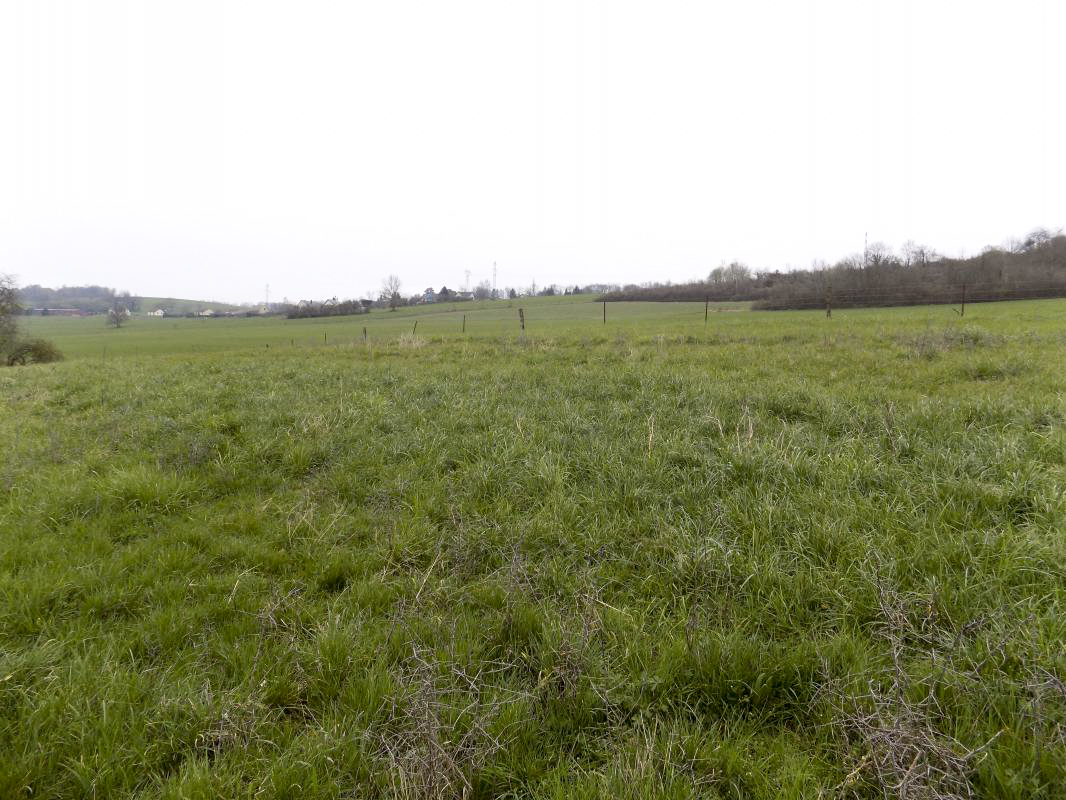 Ligne Maginot - 7B - LES NASSES OUEST - (Blockhaus pour arme infanterie) - Vue vers le nord (direction de tir FM) - R Tucker
