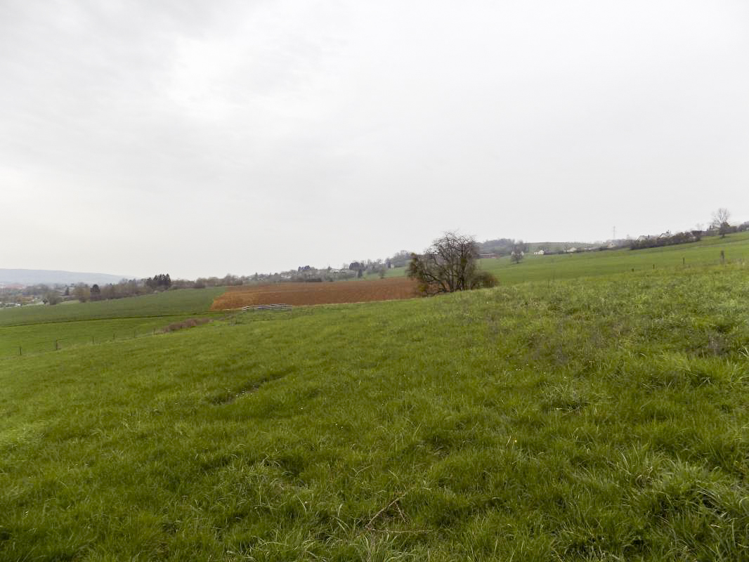 Ligne Maginot - 7B - LES NASSES OUEST - (Blockhaus pour arme infanterie) - Vue vers le nord-ouest (direction de tir Hotchkiss centrale) - R Tucker