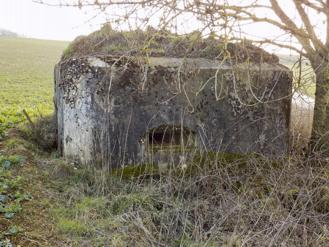 Ligne Maginot - 8A - CHATEAU BERNIER - (Blockhaus pour arme infanterie) - Face droite, créneau FM - R Tucker