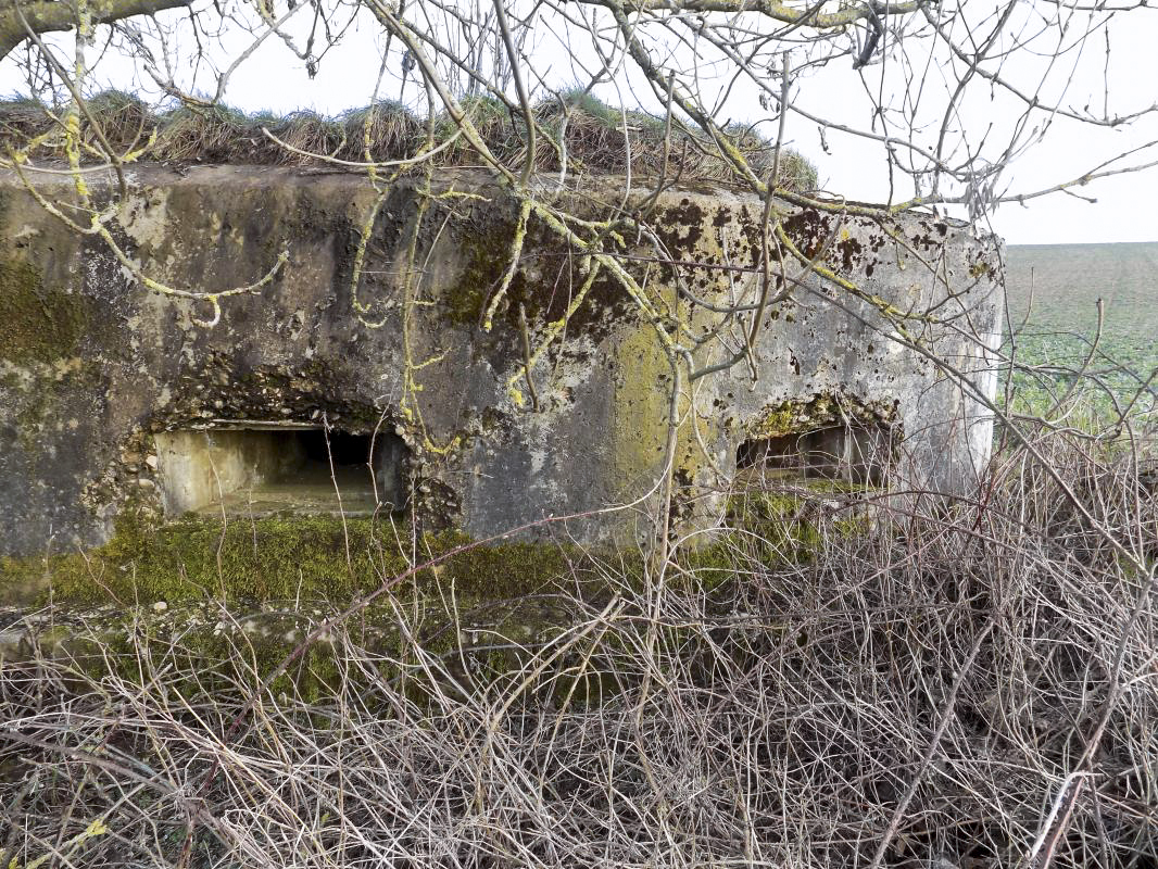 Ligne Maginot - 8A - CHATEAU BERNIER - (Blockhaus pour arme infanterie) - Face frontale - R Tucker