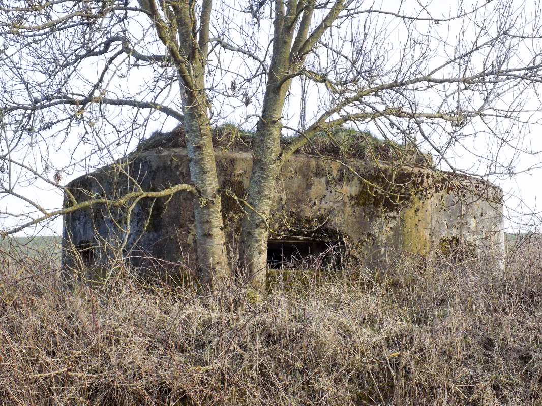 Ligne Maginot - 8A - CHATEAU BERNIER - (Blockhaus pour arme infanterie) -  - R Tucker