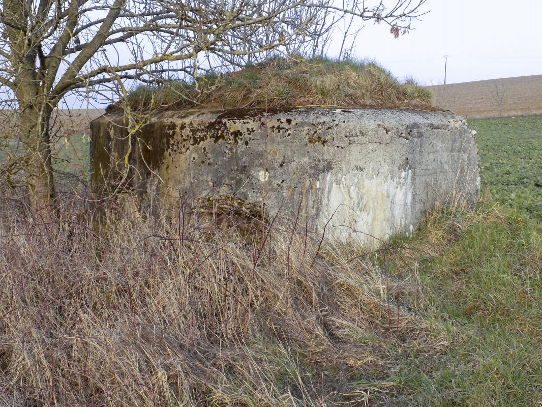 Ligne Maginot - 8A - CHATEAU BERNIER - (Blockhaus pour arme infanterie) -  - R Tucker