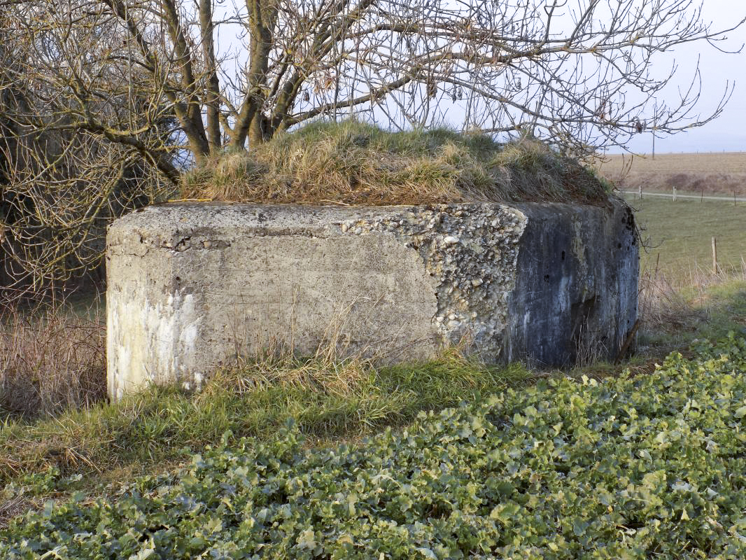 Ligne Maginot - 8A - CHATEAU BERNIER - (Blockhaus pour arme infanterie) - Face gauche - R Tucker
