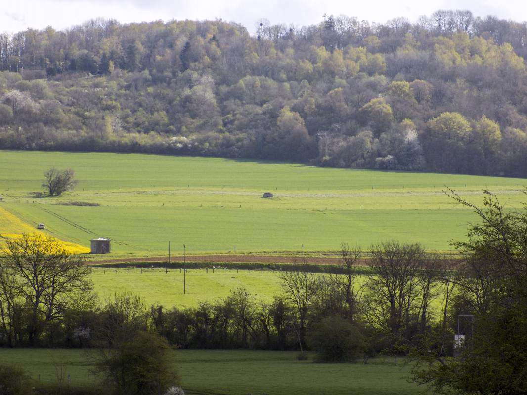 Ligne Maginot - 8B - FOCHELLE - (Blockhaus pour arme infanterie) - Vue vers le nord-est, le blockhaus 7B, l'autre coté de la Meuse - R Tucker