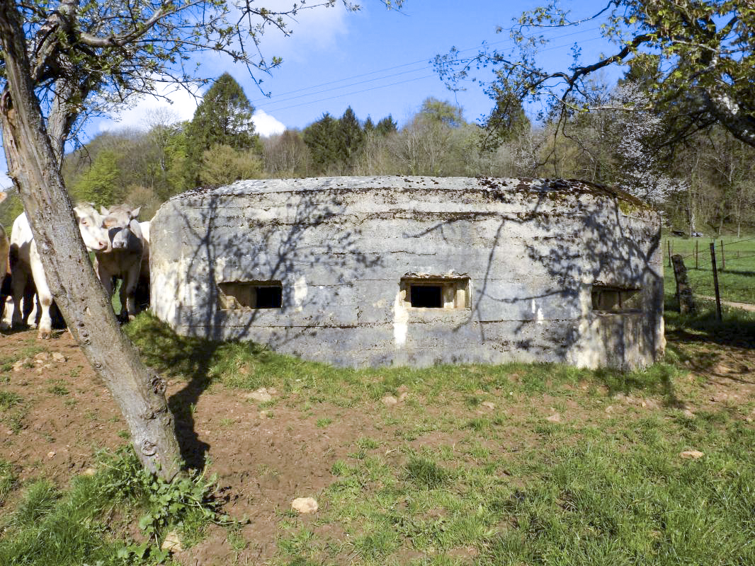 Ligne Maginot - 8C - AUTRECOURT SUD - (Blockhaus pour arme infanterie) - Face centrale - R Tucker
