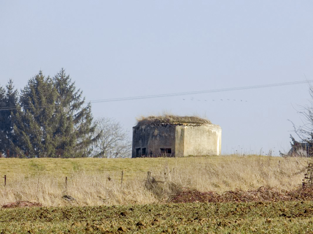 Ligne Maginot - 9A - ROUTE DE ROUVROY - (Blockhaus pour canon) - Pris du nord-est - R Tucker