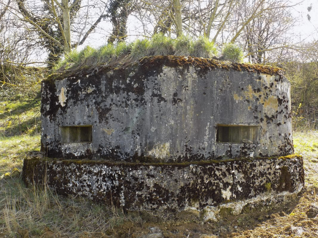Ligne Maginot - 9B - LE CHENELET SUD - (Blockhaus pour arme infanterie) - Faces frontale - R Tucker