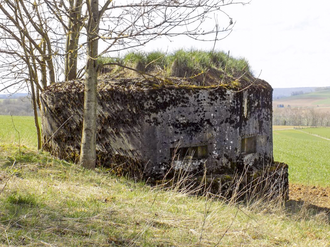 Ligne Maginot - 9B - LE CHENELET SUD - (Blockhaus pour arme infanterie) - Face droite - R Tucker